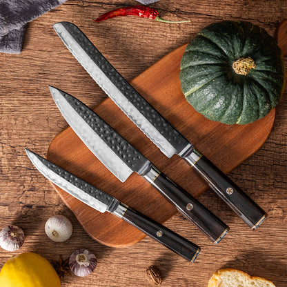 OEM DK-BA Series Ebony Wood Handle Damascus VG10 Steel Knife Set