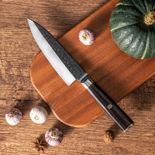 OEM DK-BA Series Ebony Wood Handle Damascus VG10 Steel 6''Chef Knife