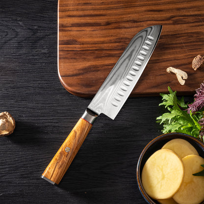 OEM DK-BD Series Olive Wood Handle Damascus AUS10 Steel 8'' Santoku Knife