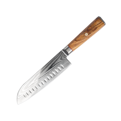 OEM DK-BD Series Olive Wood Handle Damascus AUS10 Steel 8'' Santoku Knife