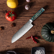 OEM DK-BZ Series Resin Shell Handle Damascus VG10 Steel 7" Sankuto Knife