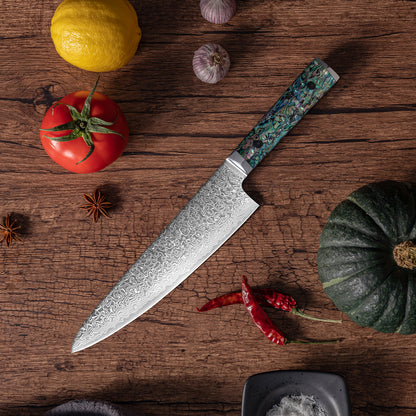 OEM DK-BZ Series Resin Shell Handle Damascus VG10 Steel 8''Kitchen Knife