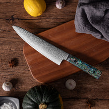 OEM DK-BZ Series Resin Shell Handle Damascus VG10 Steel 8''Kitchen Knife
