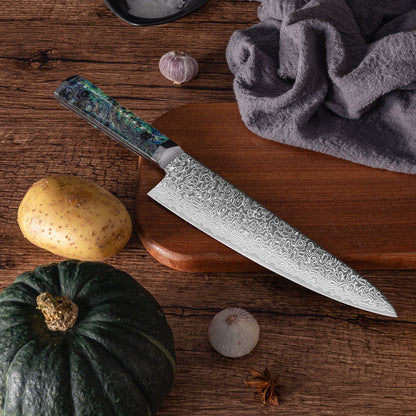OEM DK-BZ Series Resin Shell Handle Damascus VG10 Steel 8''Kitchen Knife