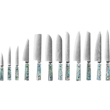 OEM DK-BZ Series Resin Shell Handle Damascus VG10 Steel Knife Set