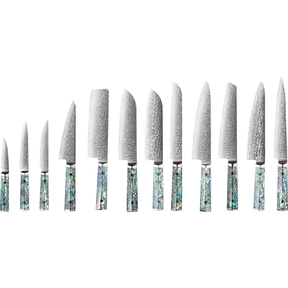 OEM DK-BZ Series Resin Shell Handle Damascus VG10 Steel Knife Set