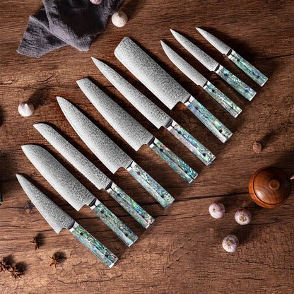 OEM DK-BZ Series Resin Shell Handle Damascus VG10 Steel Knife Set