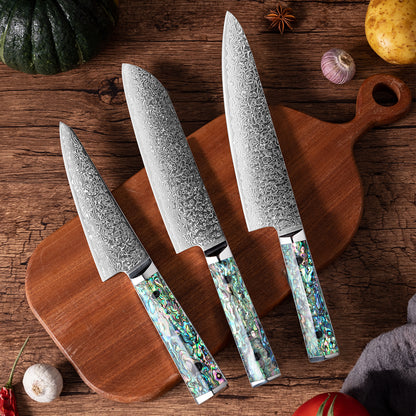 OEM DK-BZ Series Resin Shell Handle Damascus VG10 Steel Knife Set