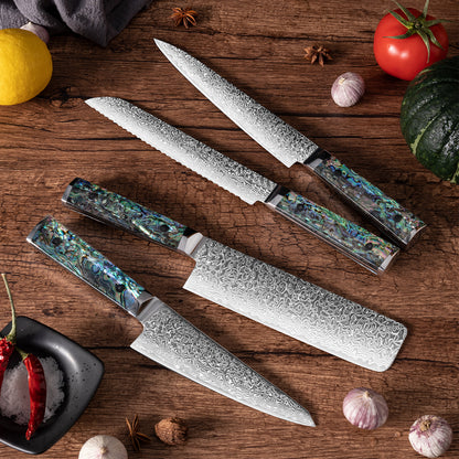 OEM DK-BZ Series Resin Shell Handle Damascus VG10 Steel Knife Set