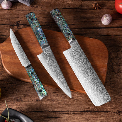 OEM DK-BZ Series Resin Shell Handle Damascus VG10 Steel Knife Set