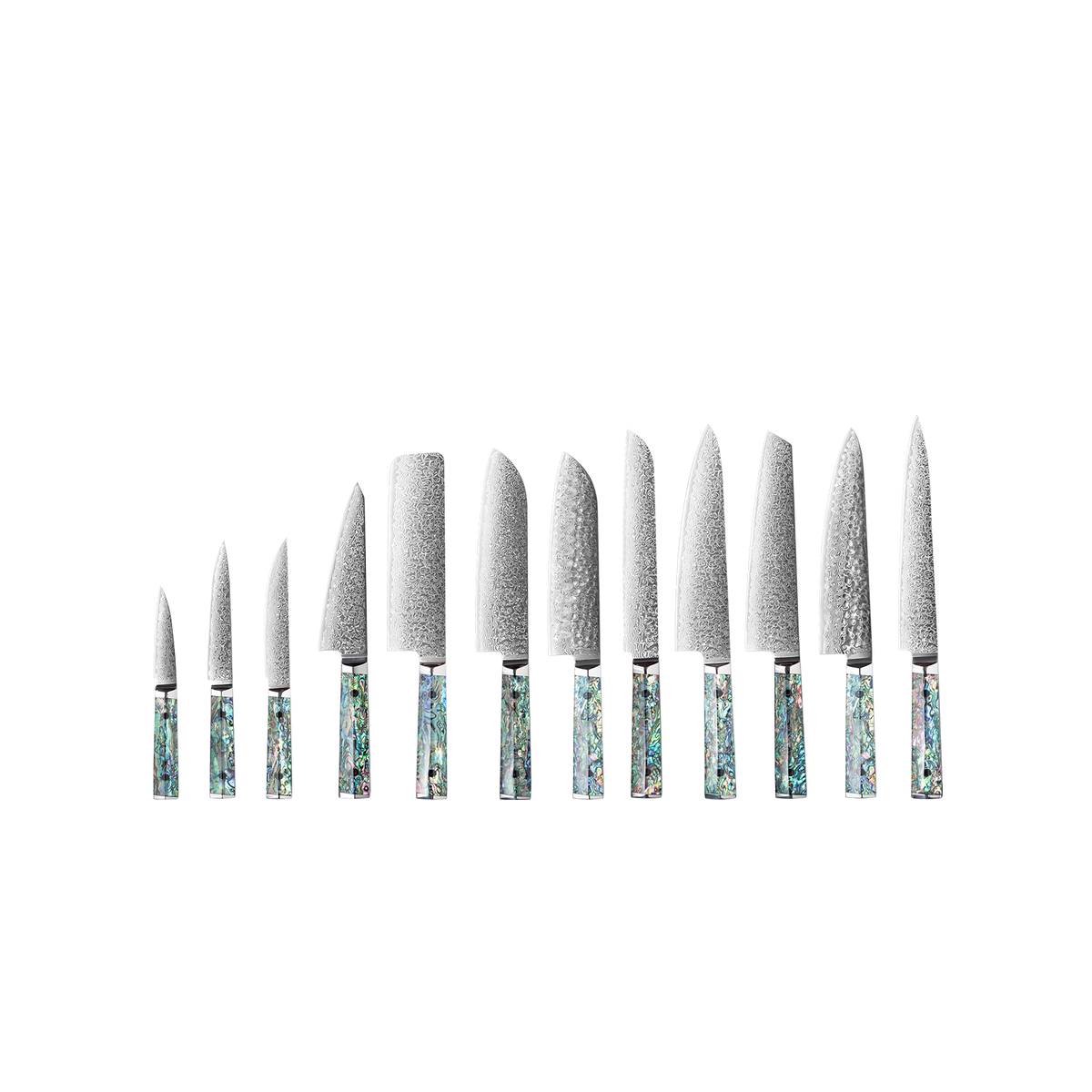 OEM DK-BZ Series Resin Shell Handle Damascus VG10 Steel Knife Set