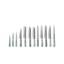 OEM DK-BZ Series Resin Shell Handle Damascus VG10 Steel Knife Set