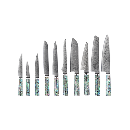 OEM DK-BZ Series Resin Shell Handle Damascus VG10 Steel Knife Set