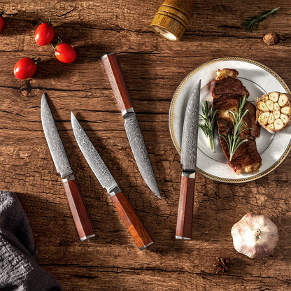 OEM DK-LF Series Rosewood Handle Damascus VG10 Steel 5''Steak Knife Set