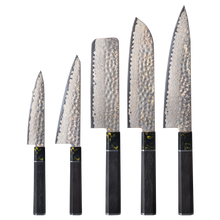 OEM DK-HB Series G10 Handle Damascus AUS-10V Steel Knife Set