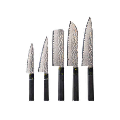 OEM DK-HB Series G10 Handle Damascus AUS-10V Steel Knife Set
