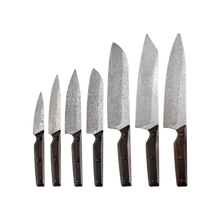 OEM DK-QRDF Series Ebony Wood Handle Coreless Damascus VG10 Steel Knife Set