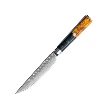 OEM DK-VF Series Resin with Stabilized Wood Handle Damascus VG10 Steel 5" Utility Knife