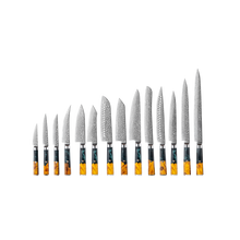 OEM DK-VF Series Resin with Stabilized Wood Handle Damascus VG10 Steel Knife Set