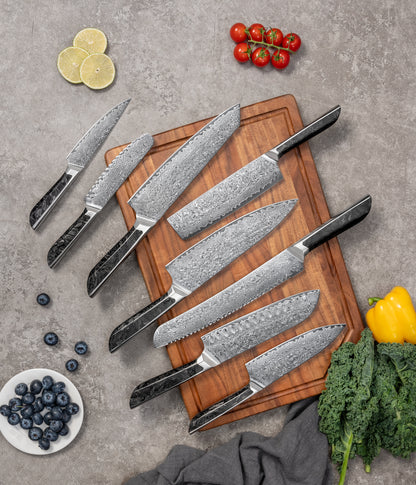 BORRY Series  Damascus VG10 Steel, 67 Layers Steel Shredded Carbon Fiber Handle Chef Knife Knife Set