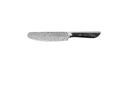 BORRY Series  Damascus VG10 Steel, 67 Layers Steel Shredded Carbon Fiber Handle Chef Knife Knife Set