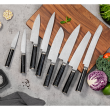 NOVA Series Imported Japanese Damascus AUS10 3 Layers Steel Black Resin with Colors Handle Chef Knife Knife Set